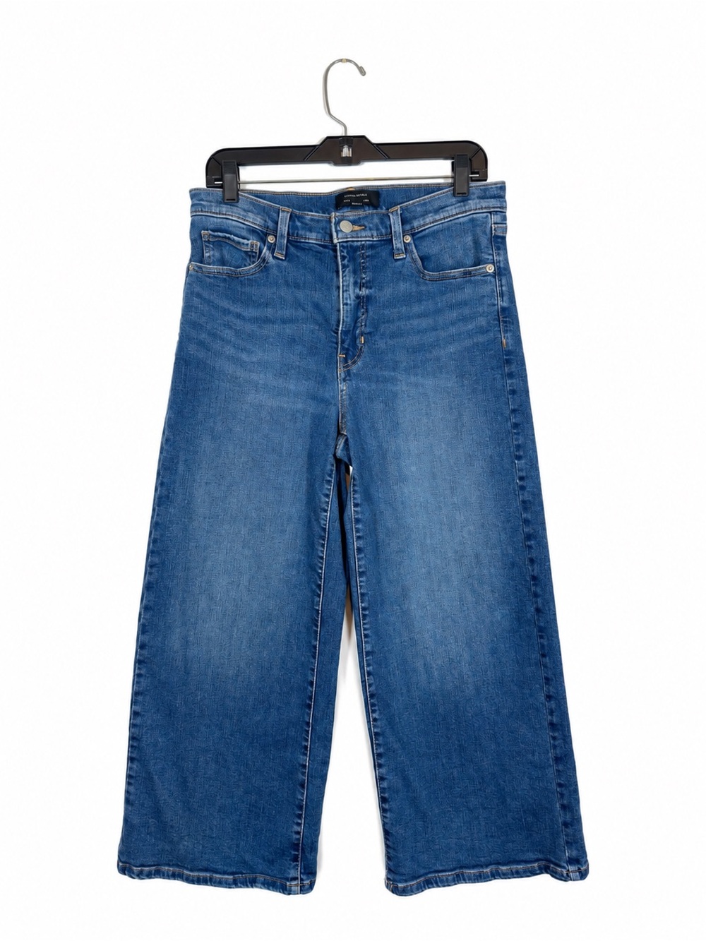 Banana Republic Wide-Leg Jeans Women's Size 30/10 High Rise Blue Casual Indie